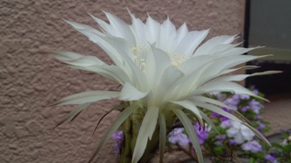 f0374160_17225079.jpg