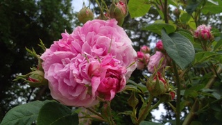 f0374160_17225514.jpg