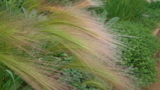 f0374160_17225587.jpg