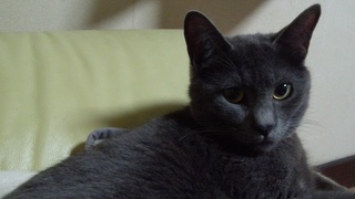 f0374160_17225680.jpg