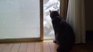 シュシュ♪_f0374160_17231694.jpg