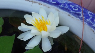 昨日の陶芸は~♪_f0374160_17232430.jpg