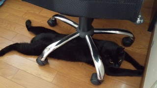 2段ベッド??(^^;_f0374160_17234414.jpg
