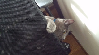 2段ベッド??(^^;_f0374160_17234422.jpg