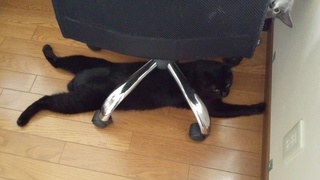 2段ベッド??(^^;_f0374160_17234428.jpg