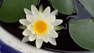 2段ベッド??(^^;_f0374160_17234493.jpg