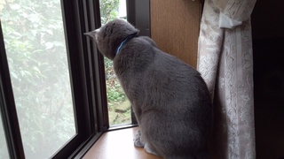栗ごはんと変形ヘクサゴン16個め♪_f0374160_17235532.jpg
