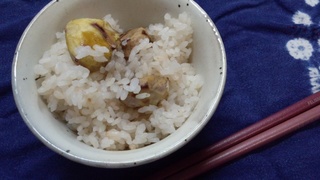 栗ごはんと変形ヘクサゴン16個め♪_f0374160_17235567.jpg