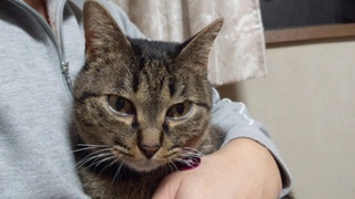 息子の陶芸で初詣(^人^)♪_f0374160_17250106.jpg
