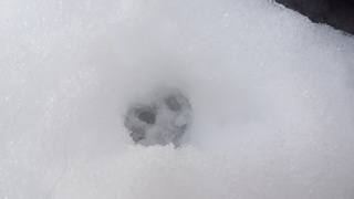 f0374160_17253315.jpg