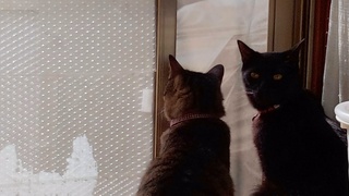 バッグのトップができました♪_f0374160_17254502.jpg