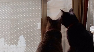 バッグのトップができました♪_f0374160_17254556.jpg