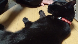 息子の陶芸教室 and…♪_f0374160_17254617.jpg
