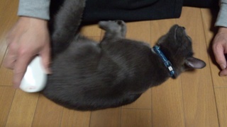 息子の陶芸教室 and…♪_f0374160_17254637.jpg