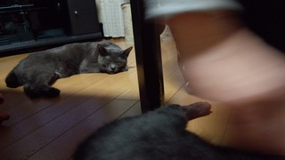 息子の陶芸教室 and…♪_f0374160_17254691.jpg