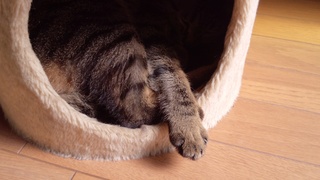 春が来た♪_f0374160_17260081.jpg