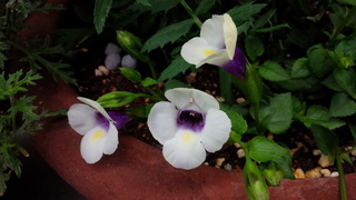 今日は陶芸教室でした♪_f0374160_17270158.jpg