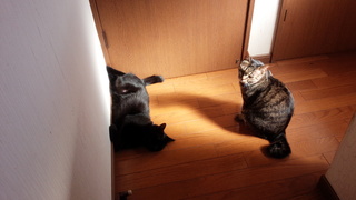 今日は陶芸教室でした♪_f0374160_17270174.jpg