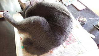 こちらのバッグもしつけがけ♪_f0374160_17270975.jpg