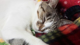 繋げました♪_f0374160_17274614.jpg