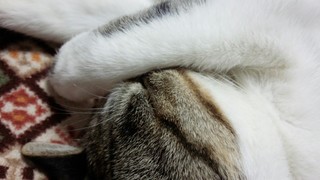 パイピング~♪_f0374160_17274899.jpg