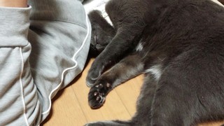 『わくわくアトリエ海展』お当番でした♪_f0374160_17285511.jpg