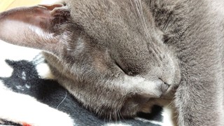大好きヘクサゴン♪_f0374160_17301426.jpg