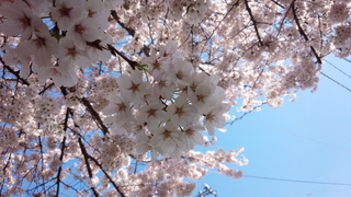 大好きヘクサゴン♪_f0374160_17301459.jpg