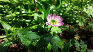 4月の手作り会♪_f0374160_17301608.jpg