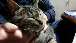 ボルチモア*アップリケ終了(*^^)v_f0374160_17301737.jpg