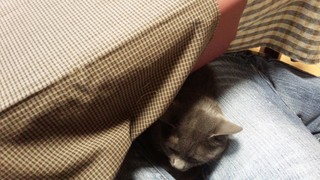 ボルチモア*アップリケ終了(*^^)v_f0374160_17301755.jpg