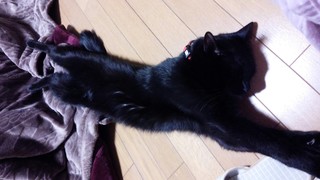陶芸教室♪_f0374160_17330904.jpg