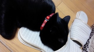 陶芸教室♪_f0374160_17330947.jpg