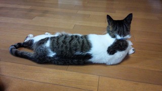 陶芸教室でした♪_f0374160_17334206.jpg