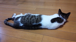 陶芸教室でした♪_f0374160_17334273.jpg