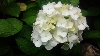 f0374160_17341635.jpg