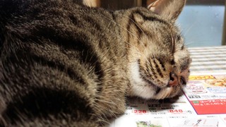 ハウスのフレームキルト 完成です♪_f0374160_17345793.jpg