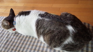 9月の陶芸教室♪_f0374160_17350770.jpg