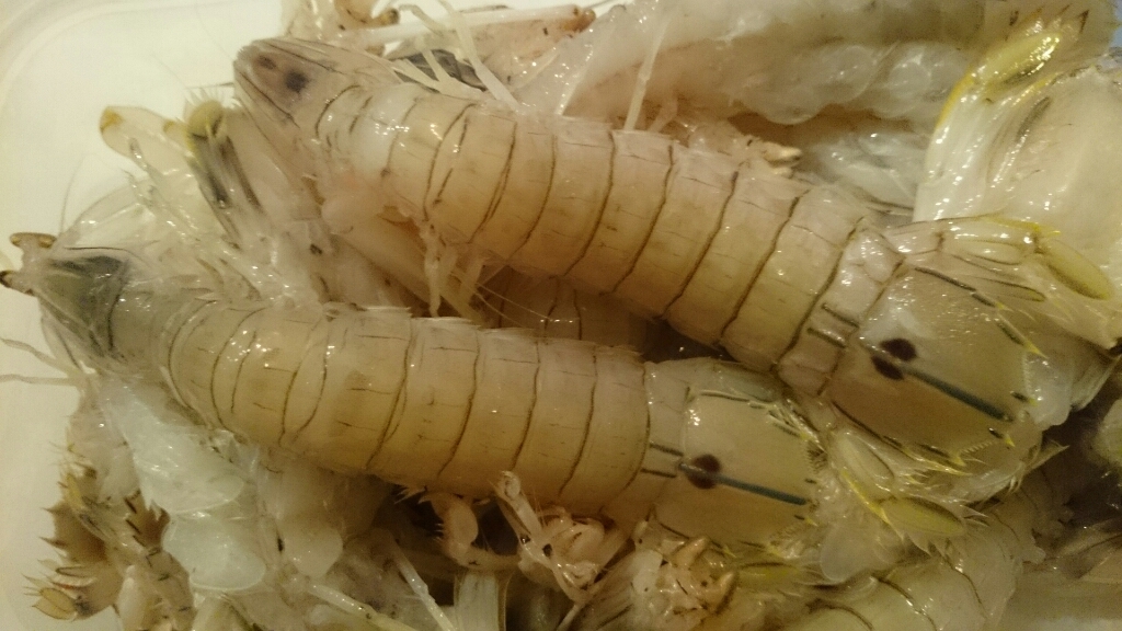 f0187266_17155214.jpg