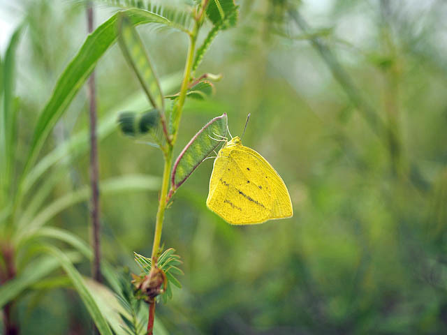 f0199866_20190034.jpg