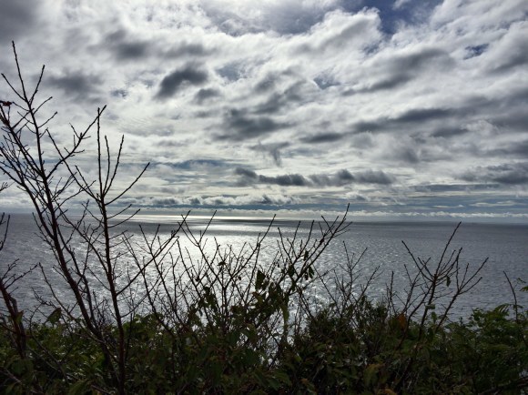 d0349370_17165280.jpg