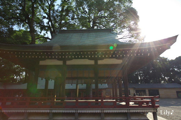 *＊ 武蔵一宮氷川神社　＊*_e0166574_2311365.jpg