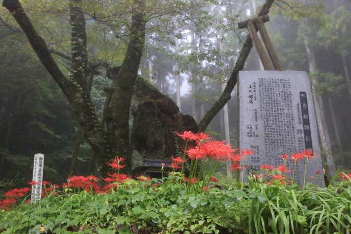 c0358784_13051325.jpg