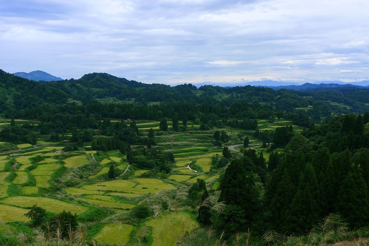 a0130586_19235246.jpg
