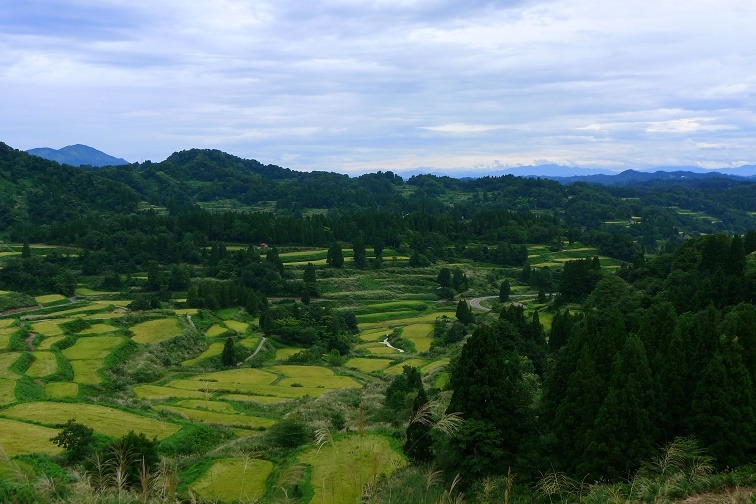 ９月８日、　「星峠の棚田」へ。。_a0130586_19235246.jpg