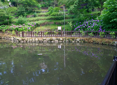 八王子の公園/六本杉公園(前編)_b0123486_14233511.jpg