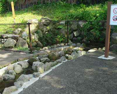 八王子の公園/六本杉公園(前編)_b0123486_1433161.jpg