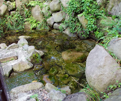 b0123486_14354222.jpg