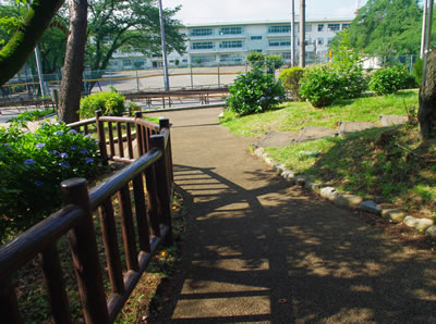 b0123486_15291595.jpg