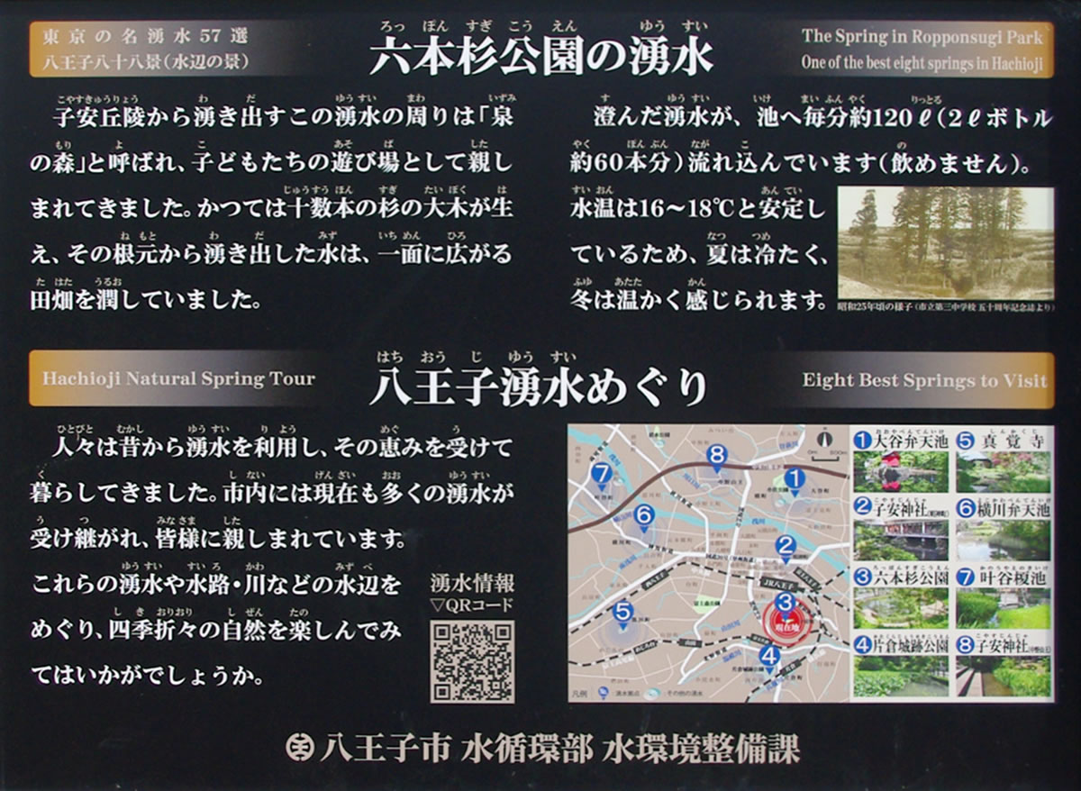 b0123486_1544376.jpg